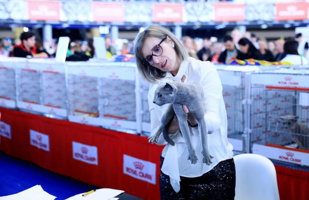 Wystawa Światowa w Rumunii