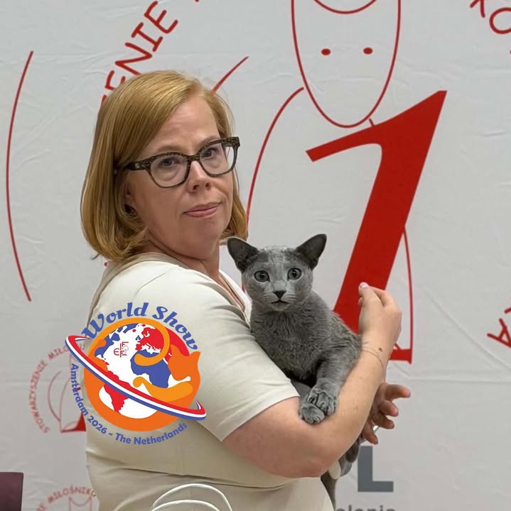 Blue-Bis PL Russian Blue